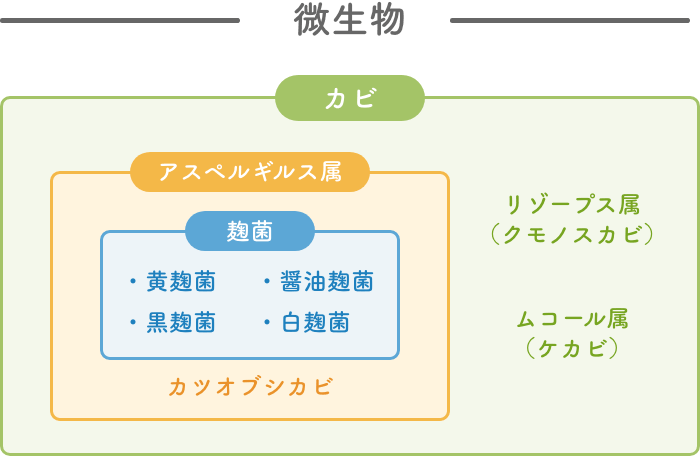 微生物の相関図