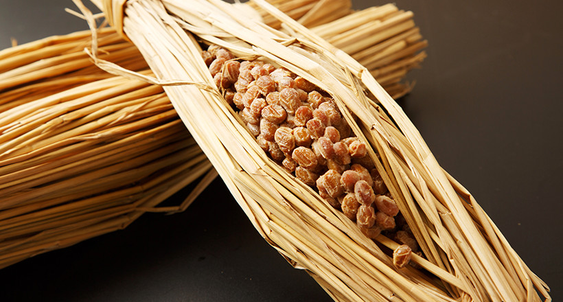 納豆菌が生きている ひとさじでバランス栄養食に 離乳食や介護食にも粉納豆 国産 納豆粉末100% 完全無添加 納豆パウダー 50g+こな納豆ボトル  100%正規品