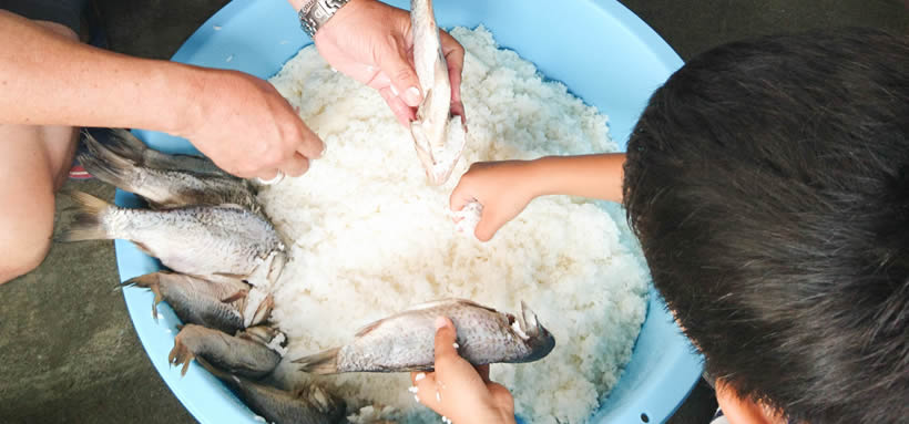 飯漬けをする様子